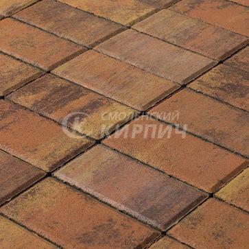 Тротуарная плитка Braer бетон, 60 мм, прямоугольник прайд (1)